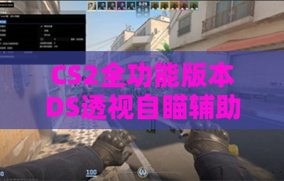 CS2全功能版本DS透视自瞄辅助工具
