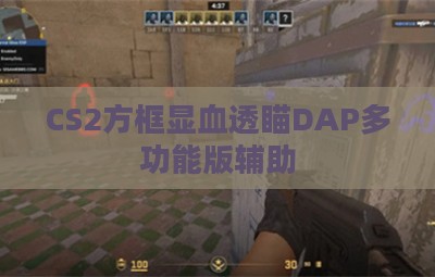 CS2方框显血透瞄DAP多功能版辅助