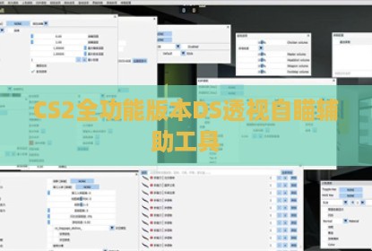 CS2全功能版本DS透视自瞄辅助工具